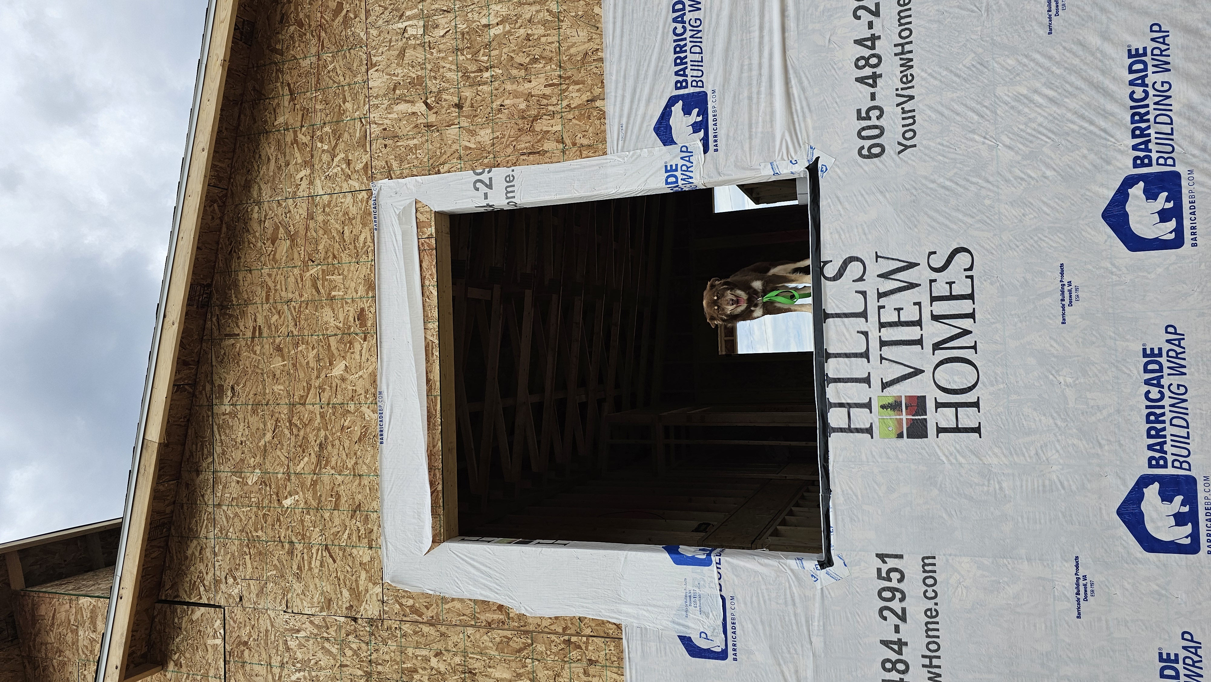 New construction window installation detail